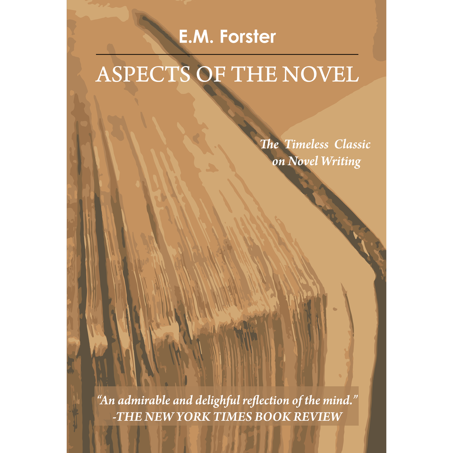 Aspects of the Novel